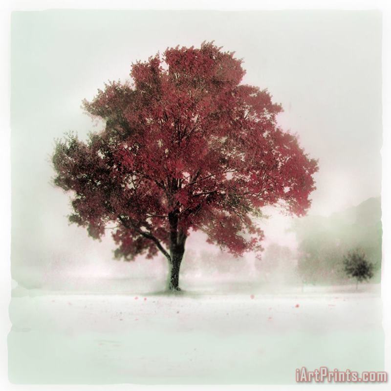 Collection 8 winter greets Autumn Art Print