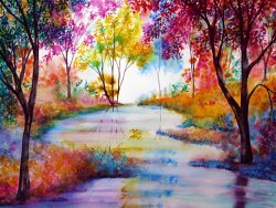 Collection 9 Affinity