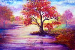Collection 9 Autumn Waters