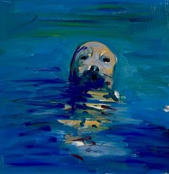 Craig Mooney Swim