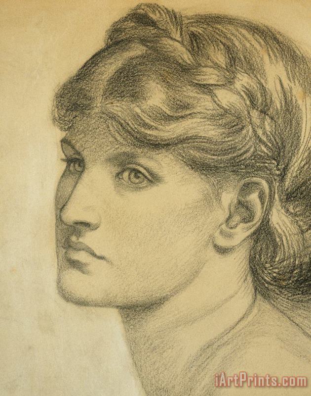 Study Of A Head For The Bower Meadow painting - Dante Charles Gabriel Rossetti Study Of A Head For The Bower Meadow Art Print