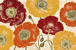 Daphne Brissonnet A Poppy's Touch I Spice
