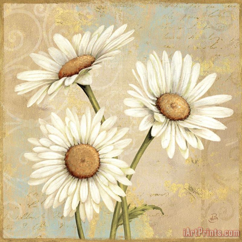 Beautiful Daisies I painting - Daphne Brissonnet Beautiful Daisies I Art Print