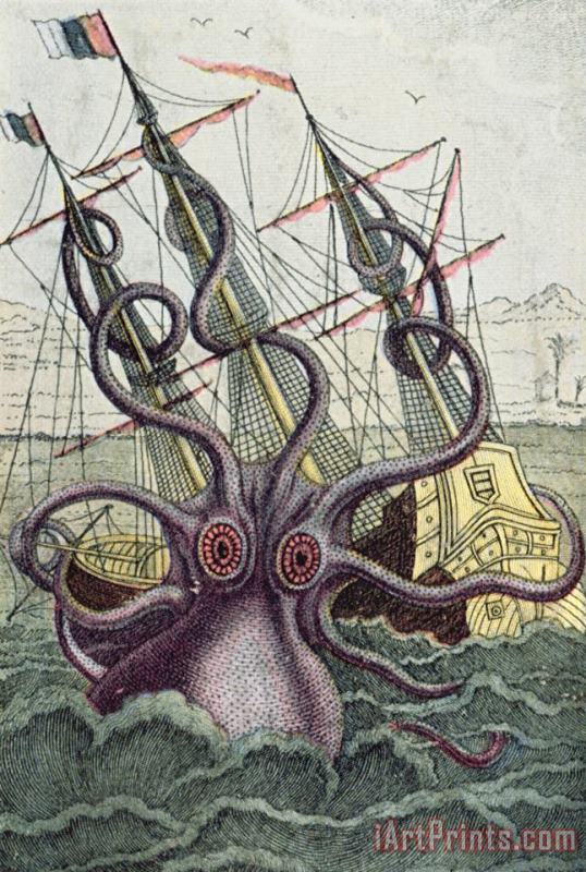 Giant Octopus painting - Denys Montfort Giant Octopus Art Print