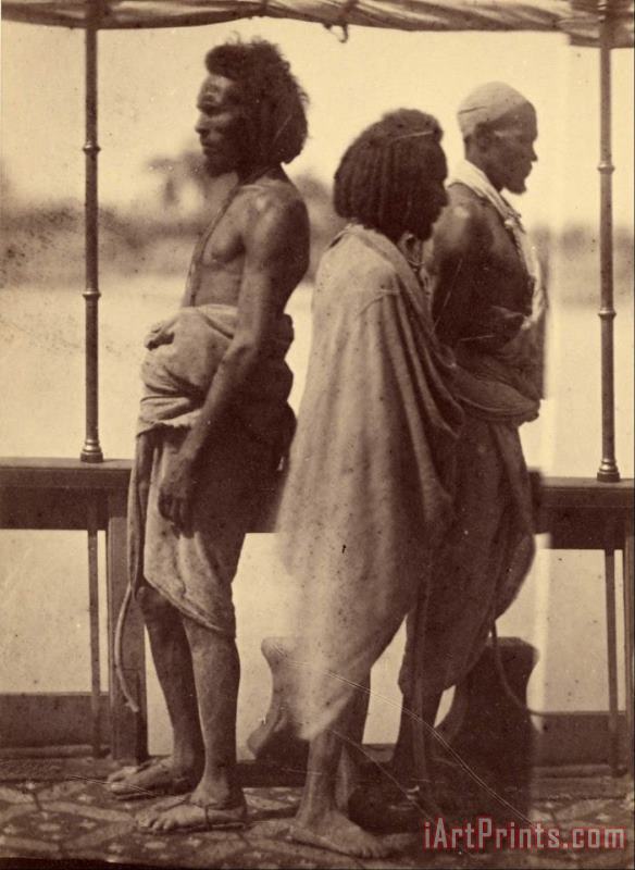 Despoineta (portrait of Three Native Men Standing in Profile) Art Print
