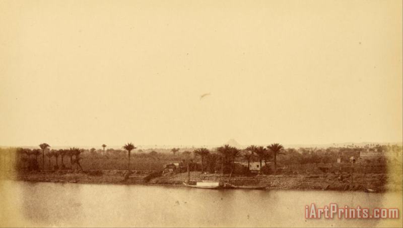 Despoineta Banks of The Nile with Palm Trees And Boat Art Print