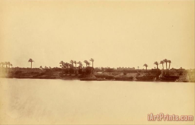 Banks of The Nile with Palm Trees And Boats painting - Despoineta Banks of The Nile with Palm Trees And Boats Art Print