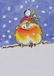 Diane Matthes Christmas Robin