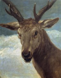 Diego Velazquez Deer Head