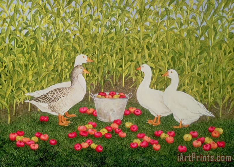 Sweetcorn Geese painting - Ditz Sweetcorn Geese Art Print