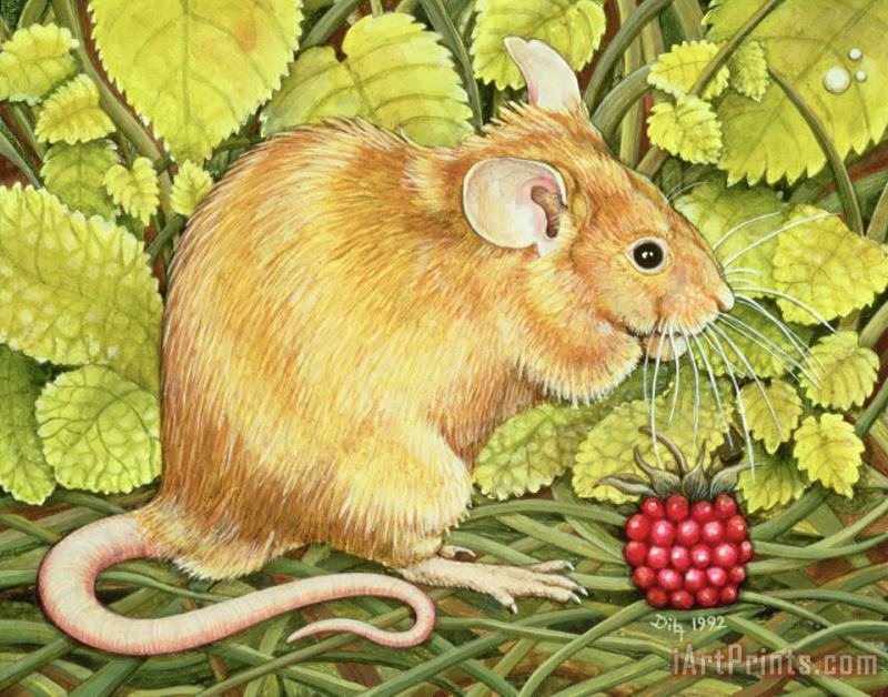 Ditz The Raspberry Mouse Art Painting