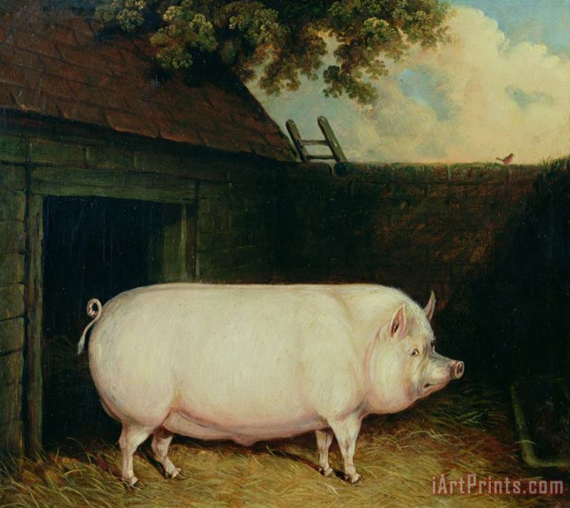 E M Fox A Pig in its Sty Art Painting