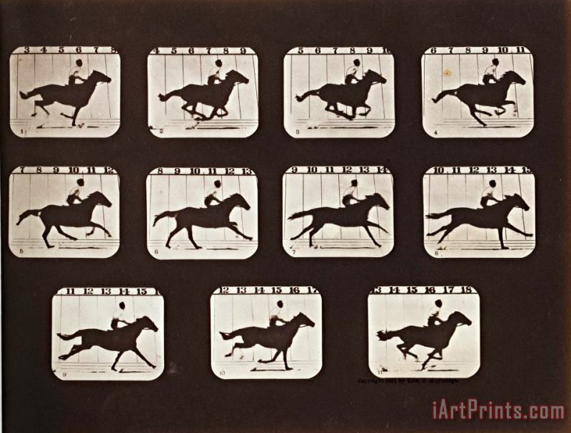 Eadweard J. Muybridge Sallie Gardner Running From The Attitudes of Animals in Motion Art Print