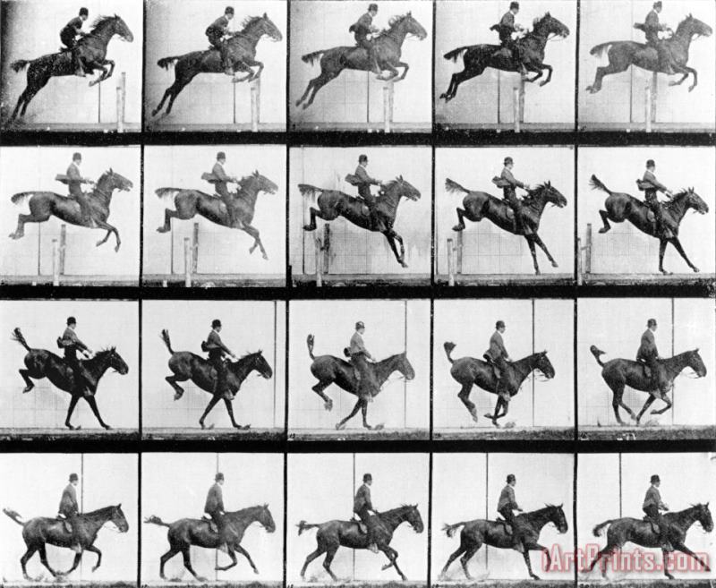 Eadweard Muybridge Man And Horse Jumping Art Print