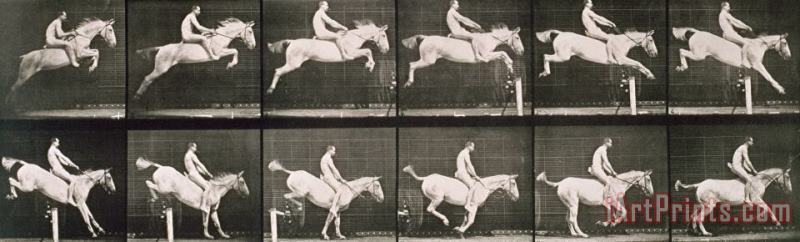 Eadweard Muybridge Man And Horse Jumping A Fence Art Painting