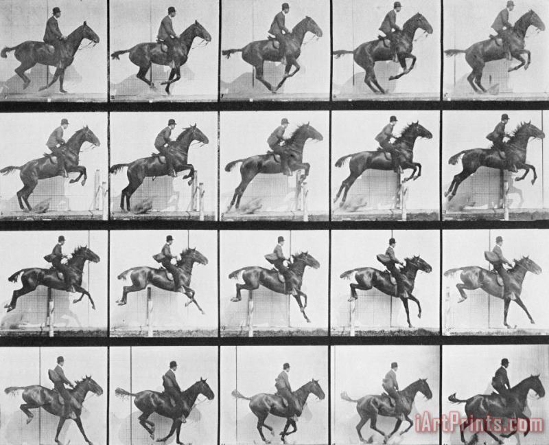 Man And Horse Jumping A Fence painting - Eadweard Muybridge Man And Horse Jumping A Fence Art Print