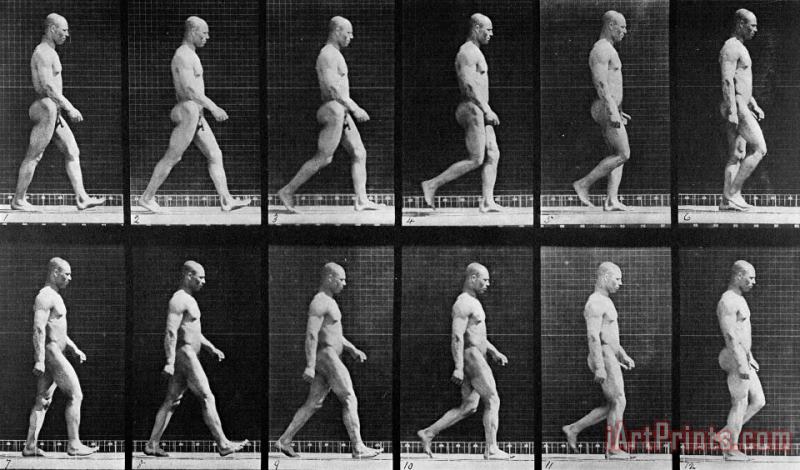 Eadweard Muybridge Man Walking Art Print