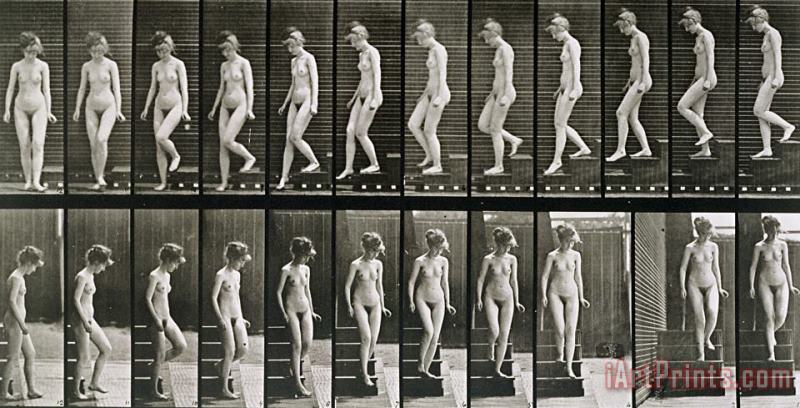 Eadweard Muybridge Woman Descending Steps Art Print