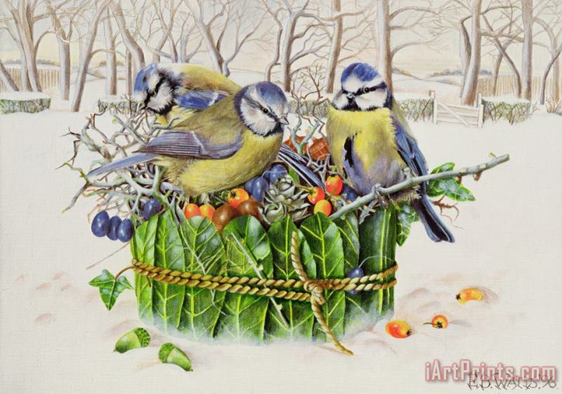Blue Tits In Leaf Nest painting - EB Watts Blue Tits In Leaf Nest Art Print