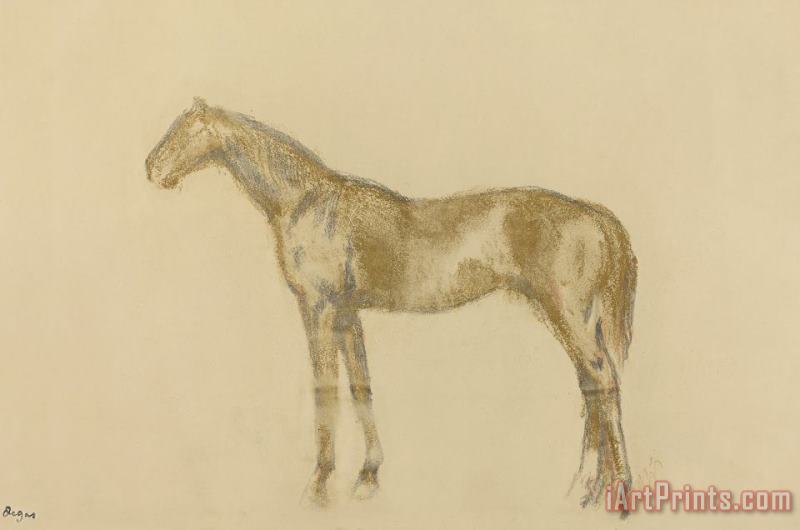 Edgar Degas Horse Art Print