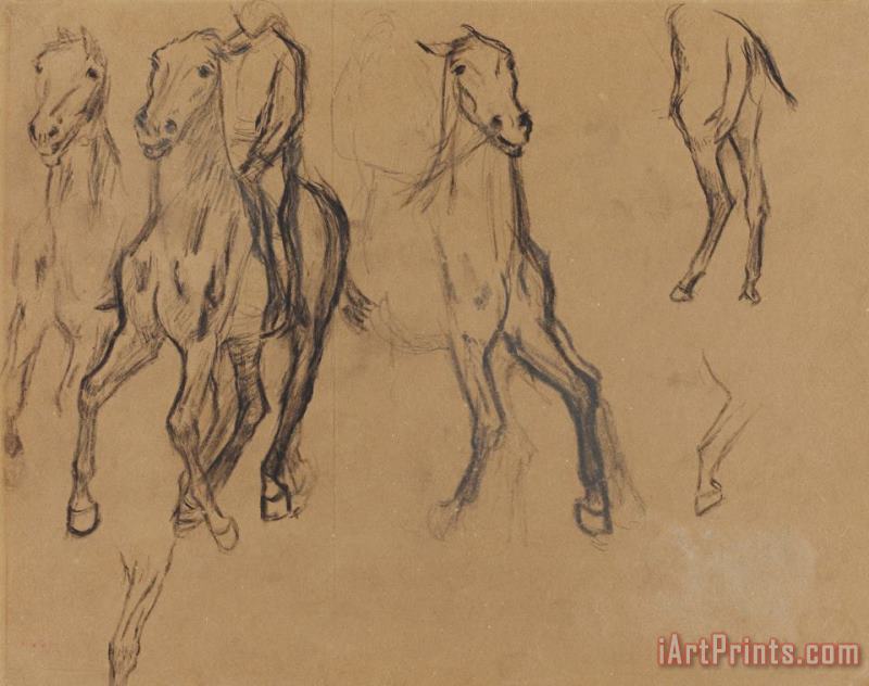 Study of Horses painting - Edgar Degas Study of Horses Art Print