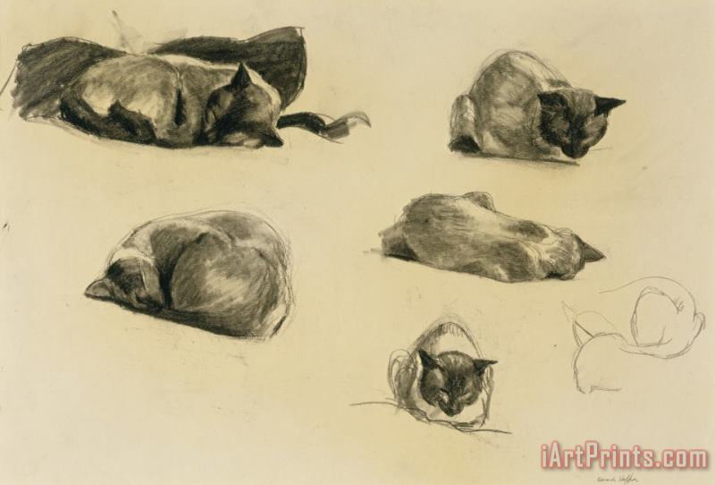 Edward Hopper Cat Study Art Print