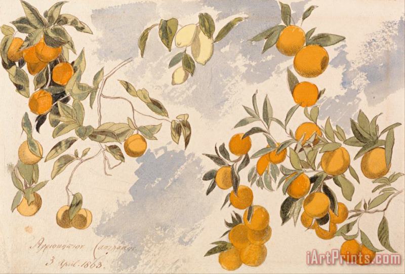 Fruit Trees, 3 April 1863 painting - Edward Lear Fruit Trees, 3 April 1863 Art Print