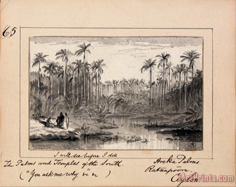 Edward Lear Illustration to Tennyson's You Ask Me Why Areka Palms, Ratanapooru, Ceylon Art Print