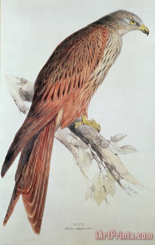 Edward Lear Kite Art Painting