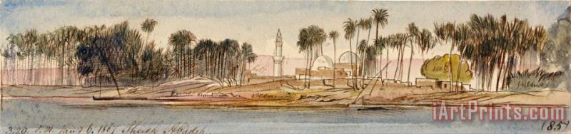 Sheikh Abadeh, 3 20 Pm, 6 January 1867 (85) painting - Edward Lear Sheikh Abadeh, 3 20 Pm, 6 January 1867 (85) Art Print