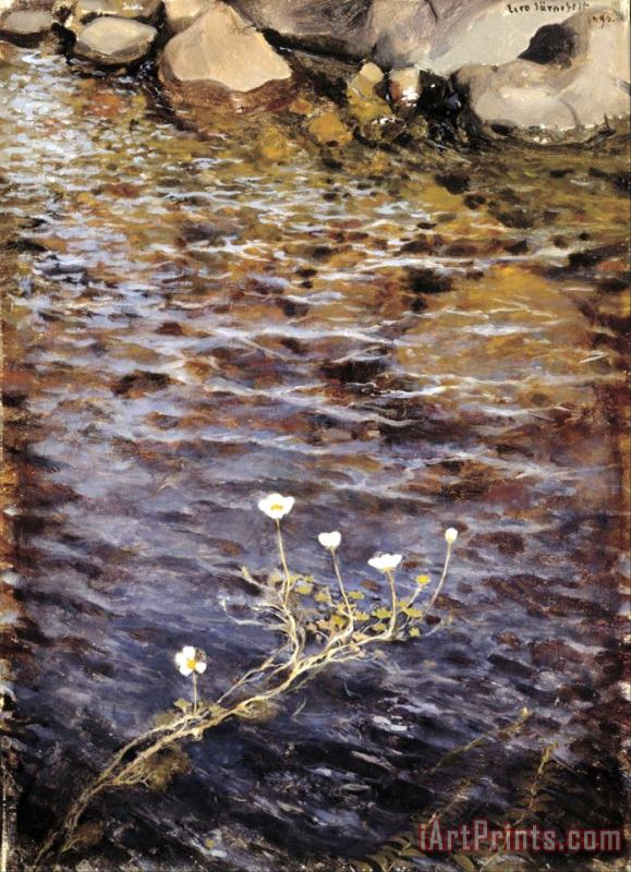 Pond Water Crowfoot painting - Eero Jarnefelt Pond Water Crowfoot Art Print