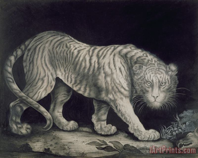 A Prowling Tiger painting - Elizabeth Pringle A Prowling Tiger Art Print