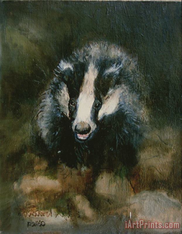 Badger Watching painting - Ellie O Shea Badger Watching Art Print