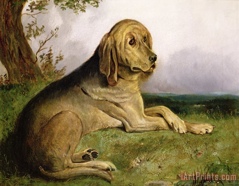A Bloodhound in a Landscape painting - English school A Bloodhound in a Landscape Art Print