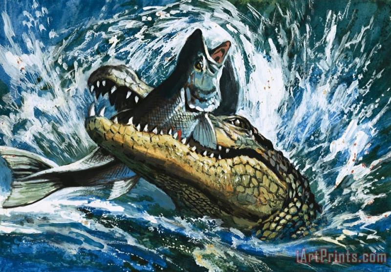 Alligator Eating Fish painting - English School Alligator Eating Fish Art Print