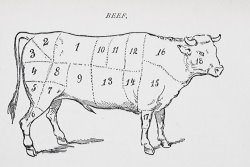 English School Drawing Of A Bullock Marked To Show Eighteen Different Cuts Of Meat painting