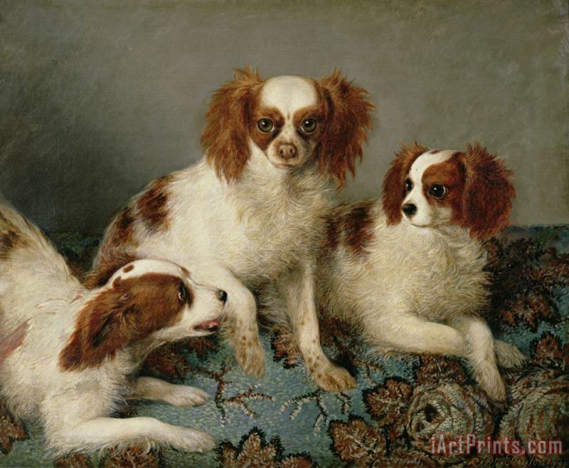 English School Three Cavalier King Charles Spaniels on a Rug Art Print