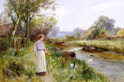 Ernest Walbourn Feeding The Ducks