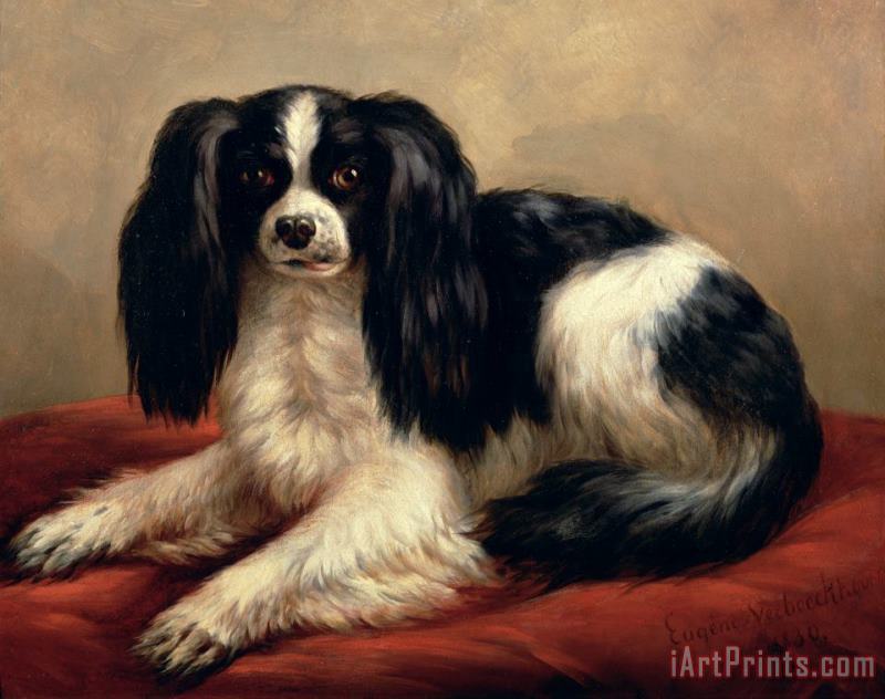 A King Charles Spaniel Seated on a Red Cushion painting - Eugene Joseph Verboeckhoven A King Charles Spaniel Seated on a Red Cushion Art Print