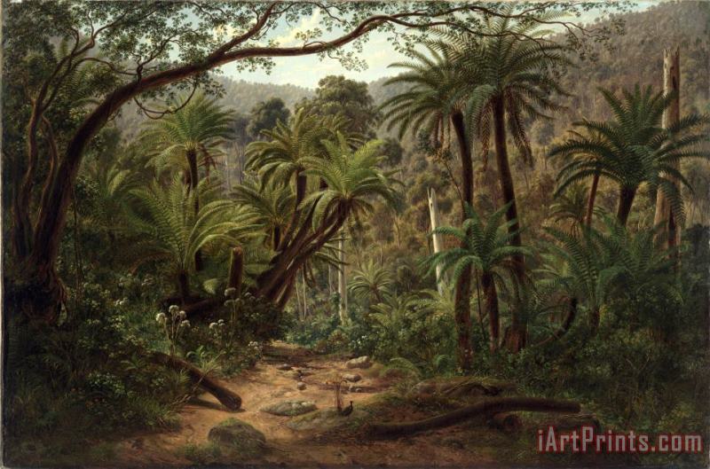 Ferntree Gully in The Dandenong Ranges painting - Eugene Von Guerard Ferntree Gully in The Dandenong Ranges Art Print