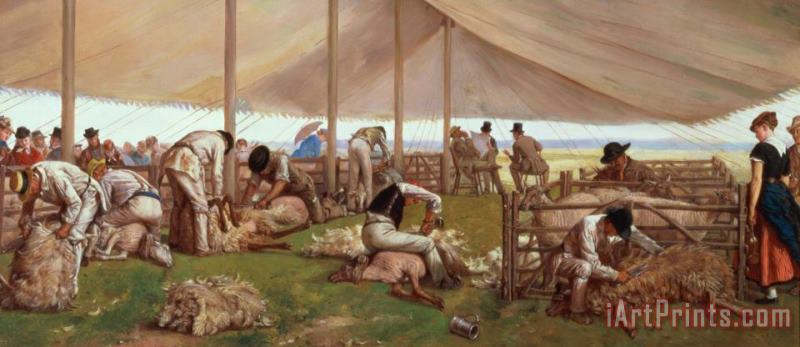  The Sheep Shearing Match painting - Eyre Crowe  The Sheep Shearing Match Art Print