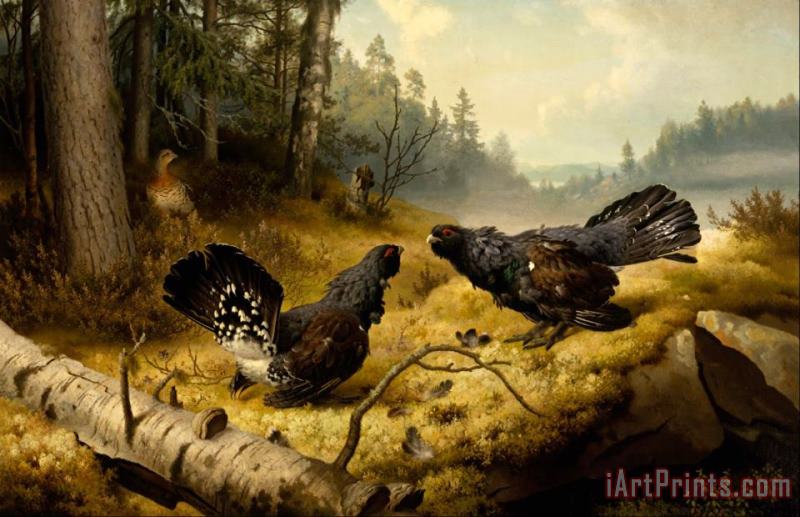 Ferdinand von Wright The Fighting Capercaillies Art Painting