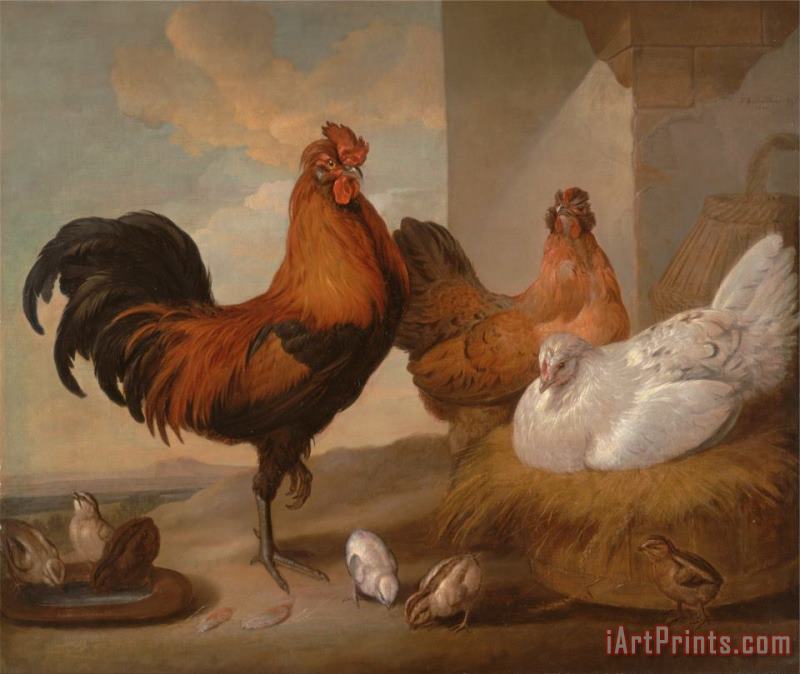 Francis Barlow Domestic Cock, Hens, And Chicks Art Painting