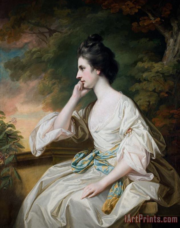 Portrait Of Miss Anne Dutton painting - Francis Cotes Portrait Of Miss Anne Dutton Art Print