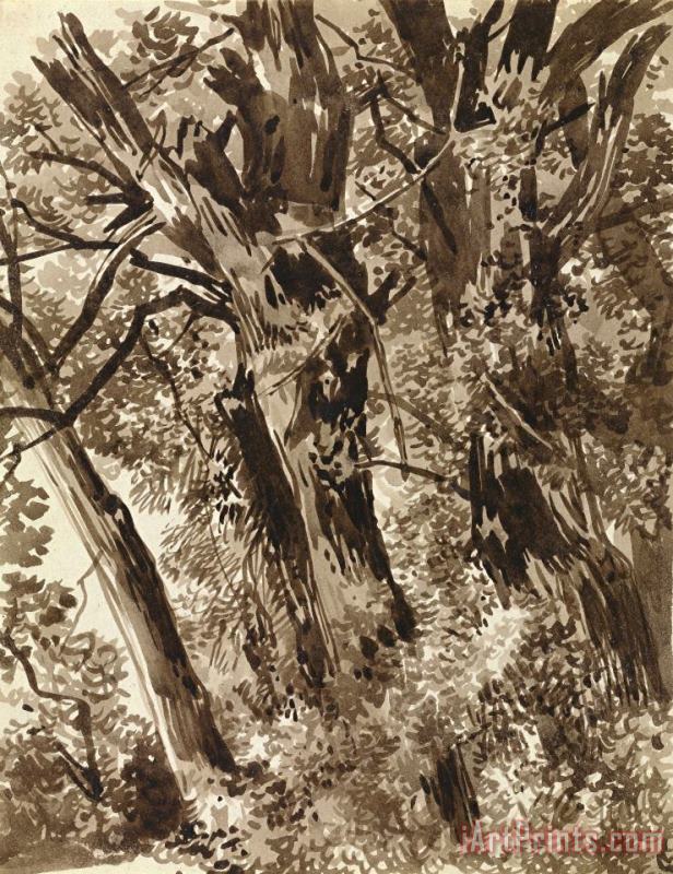 Franz Innocenz Kobell Trunks And Branches Art Painting