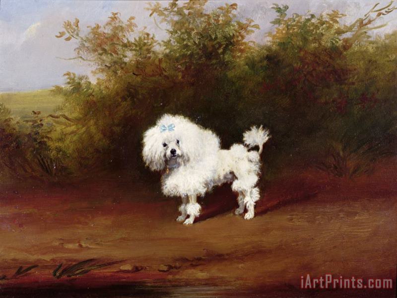 Frederick French A Toy Poodle in a Landscape Art Print