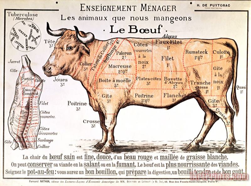 French School Beef Art Painting