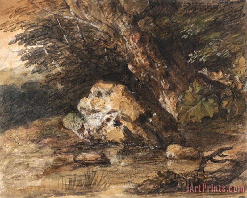 A Woodland Pool with Rocks And Plants painting - Gainsborough, Thomas A Woodland Pool with Rocks And Plants Art Print