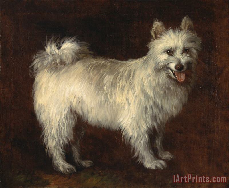 Spitz Dog painting - Gainsborough, Thomas Spitz Dog Art Print