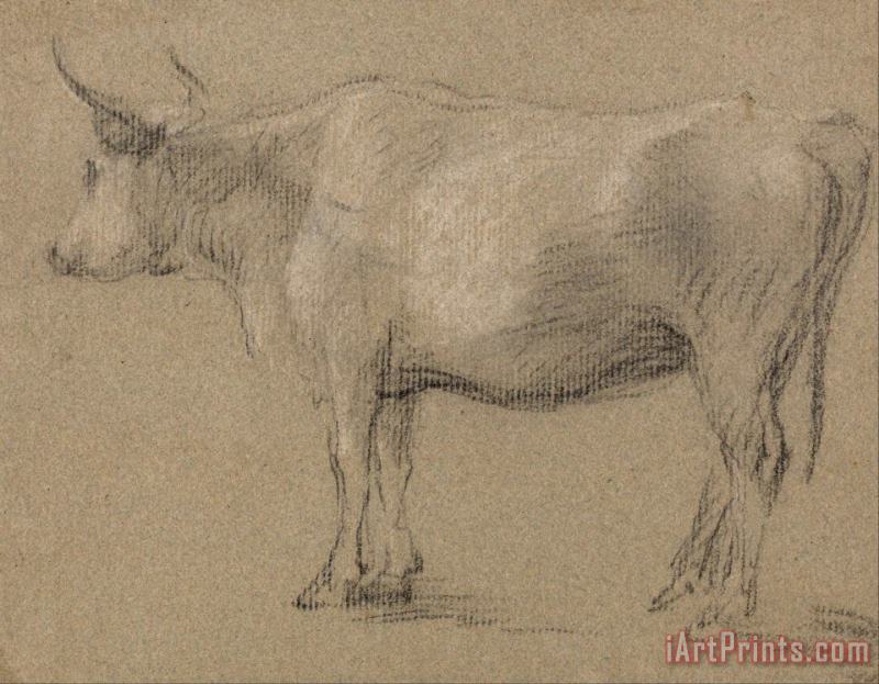 Study of a Cow painting - Gainsborough, Thomas Study of a Cow Art Print